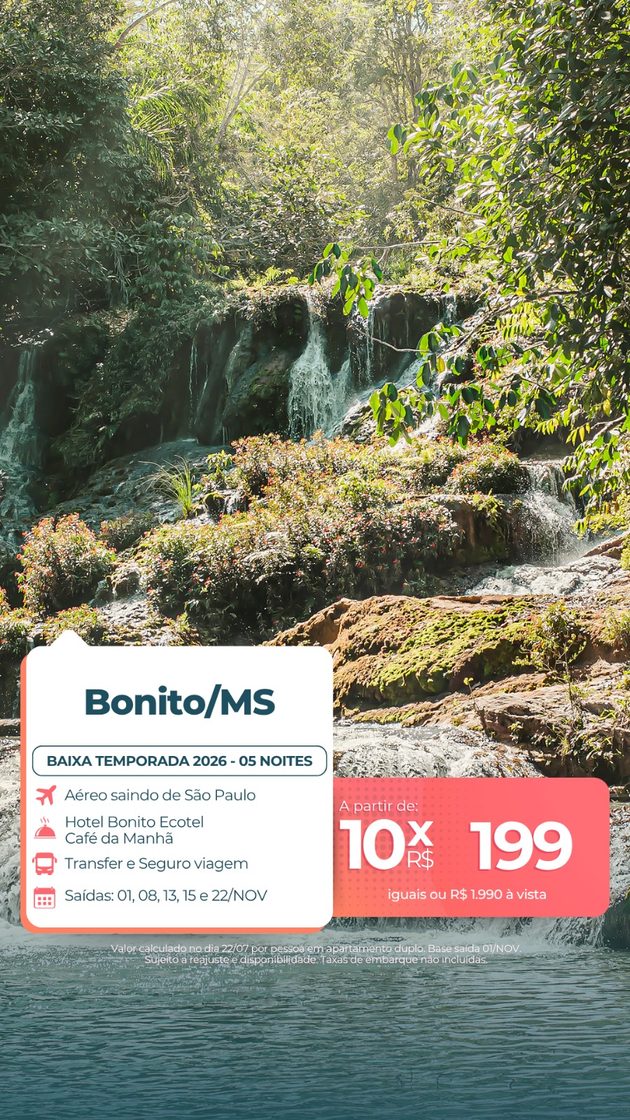 Bonito- Ms 